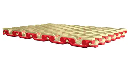 vdf-ssh_768x432.jpg.jpg vdf-ssh_768x432.jpg.jpg