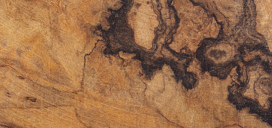 Влияние химического состава пораженной древесины на ее использование для химической переработкие